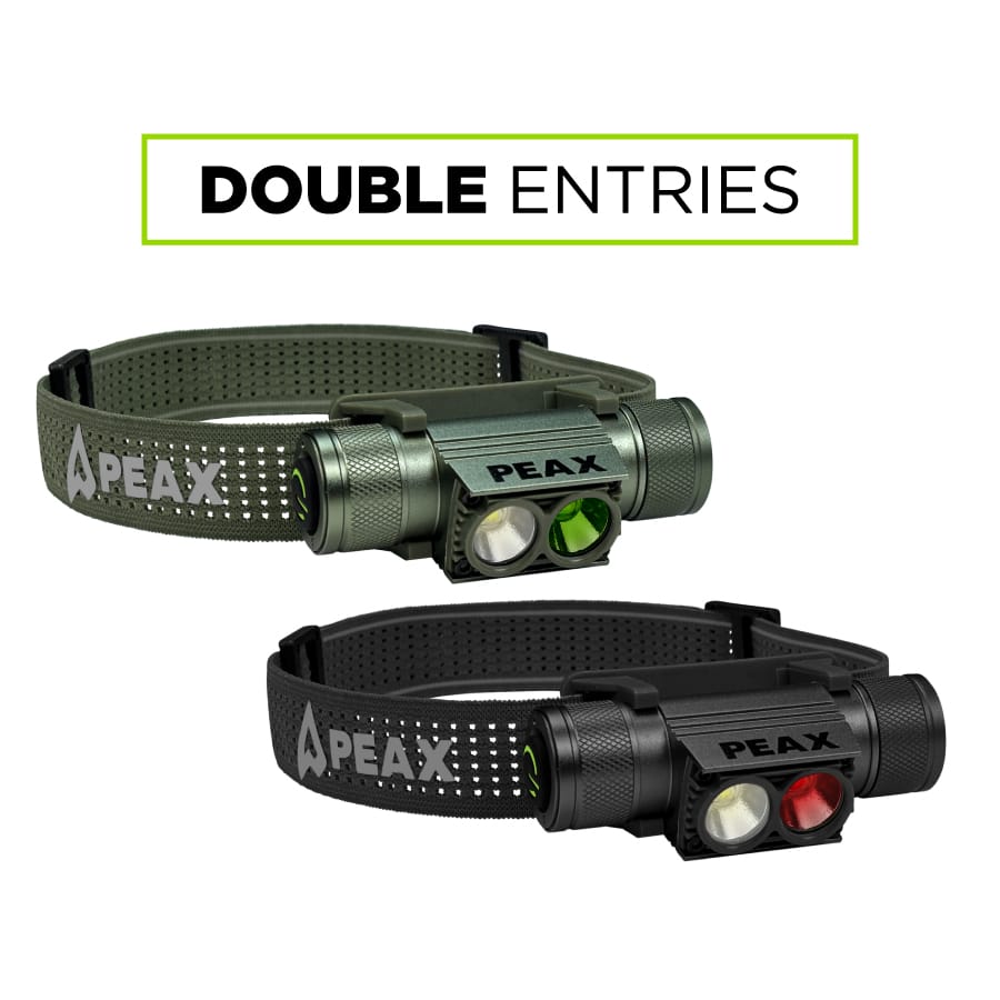 Double-Entries.jpg