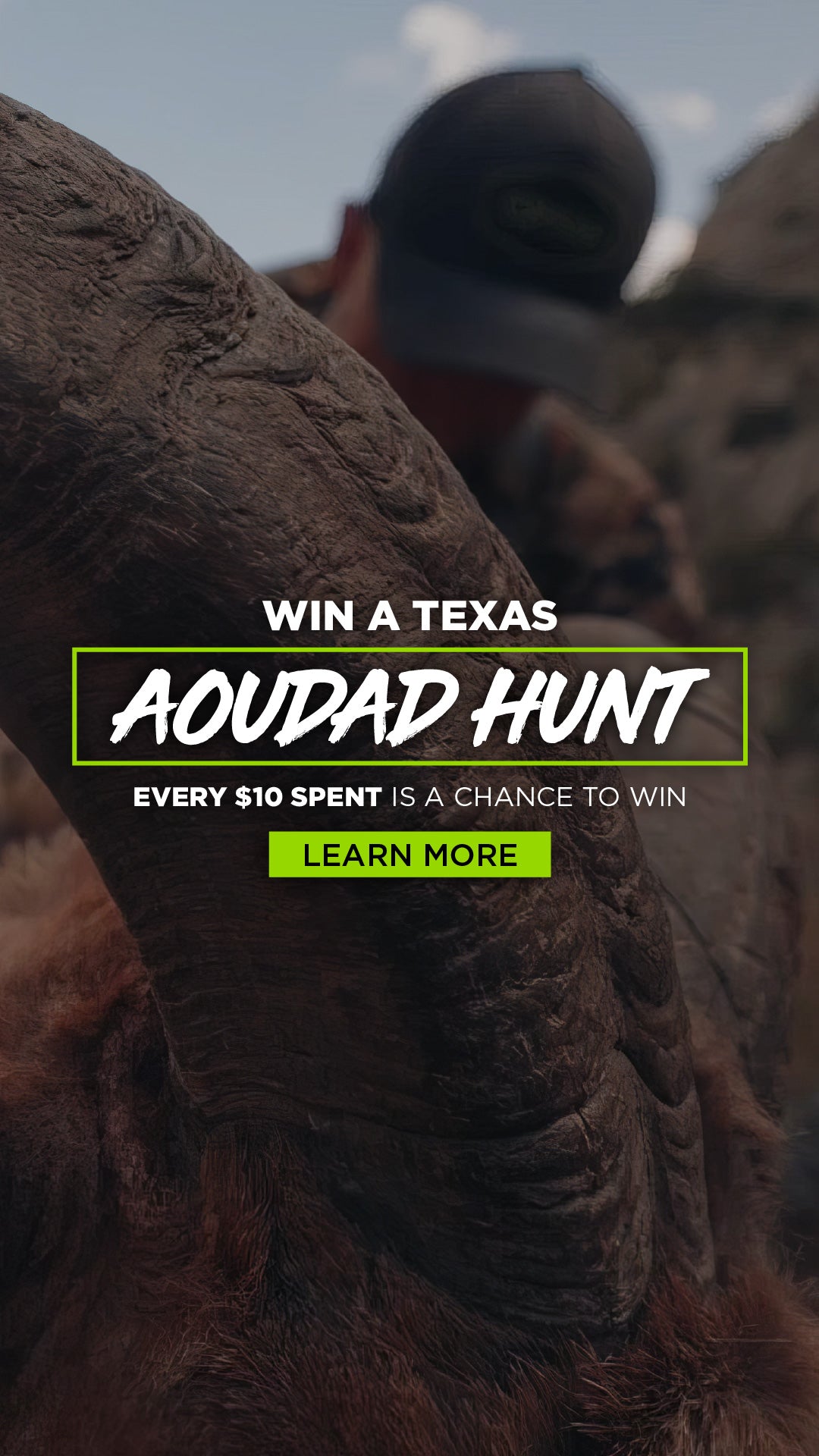 HP-Texas-Aoudad-Hunt-Vertical.jpg