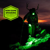 BACKCOUNTRY DUO HEADLAMP - GREEN