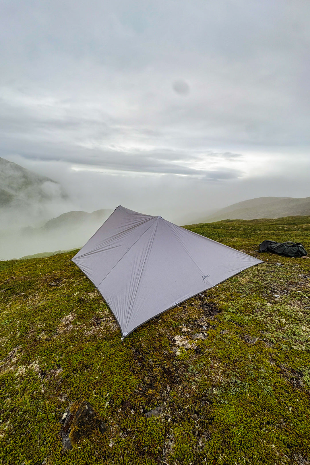 Tarp_PLP_Section-3-Vertical.jpg