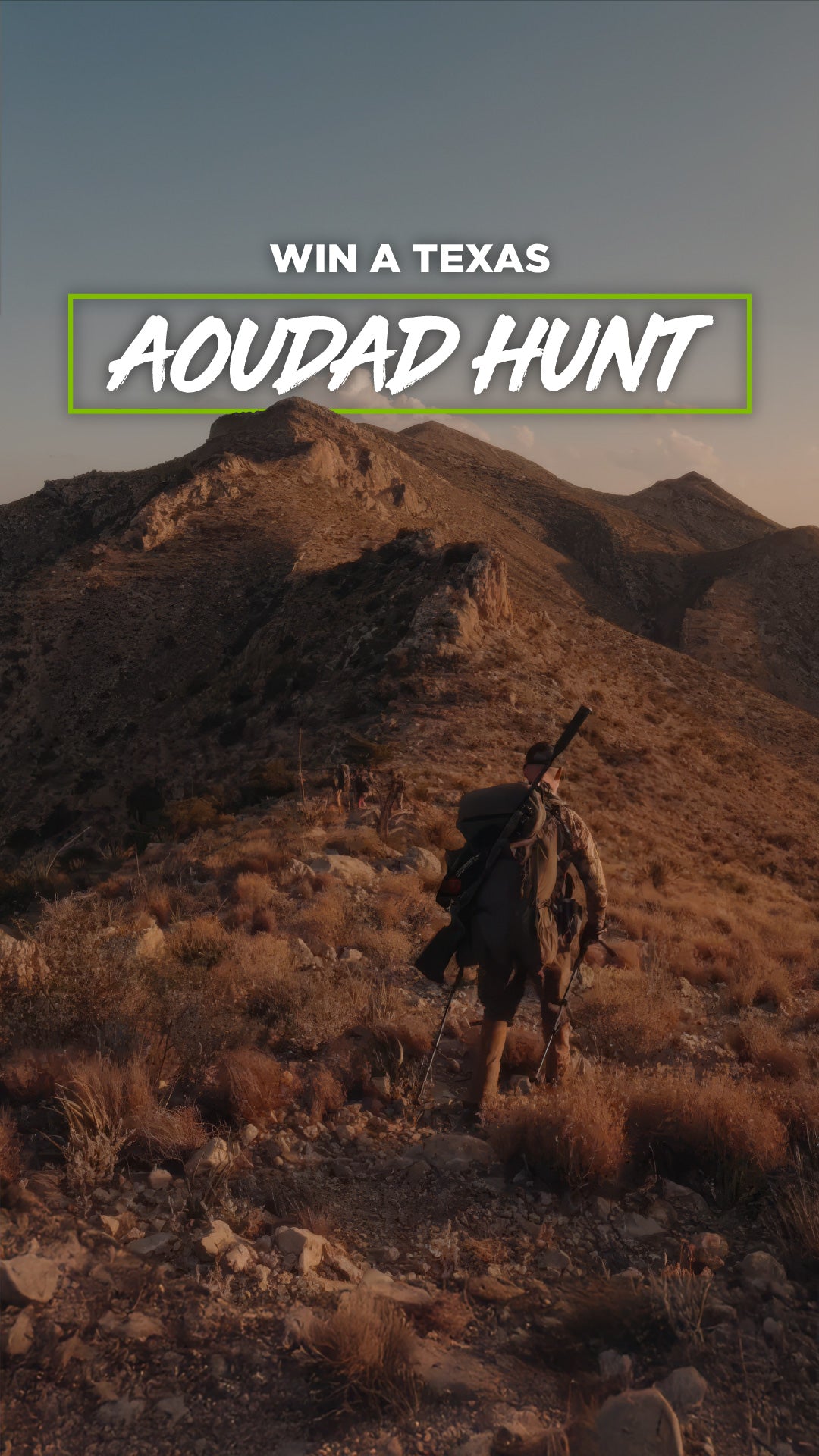 Texas-Aoudad-Hunt-LP-Vertical_177adac9-efb7-4890-b1a9-e2f0c9cb26c1.jpg