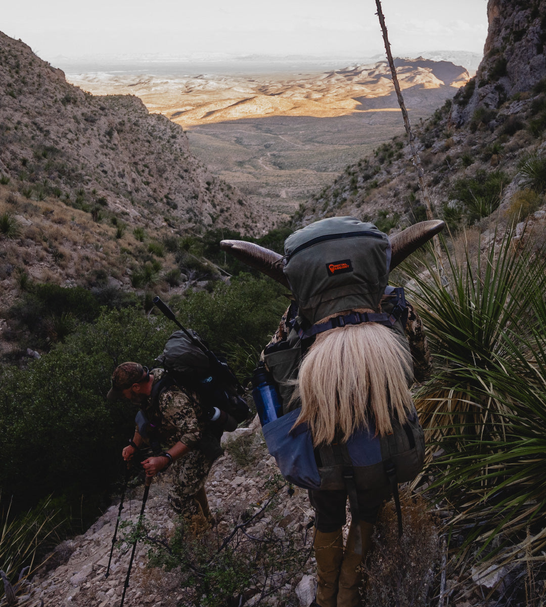Texas-Aoudad-Hunt-Section-4.jpg