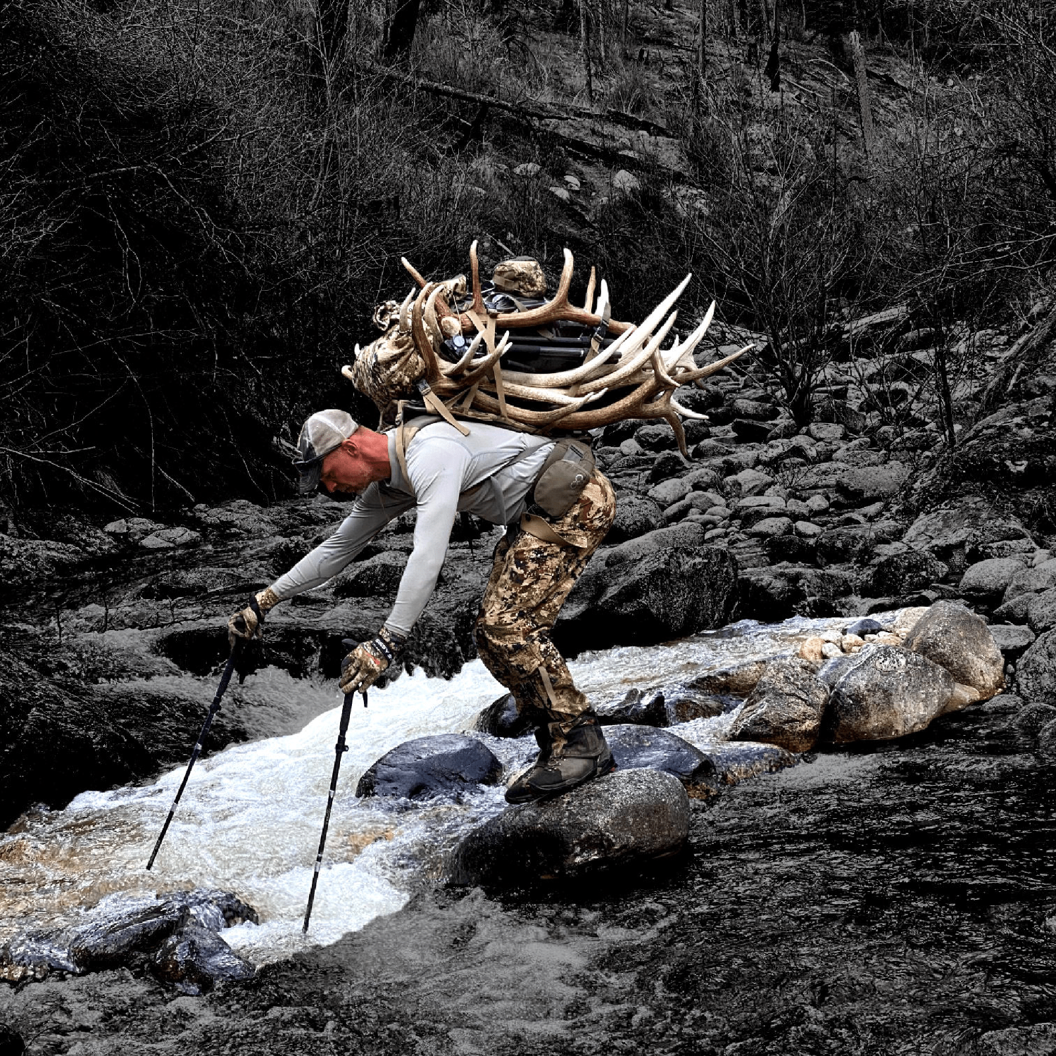 Folding collapsible trekking poles for hunting